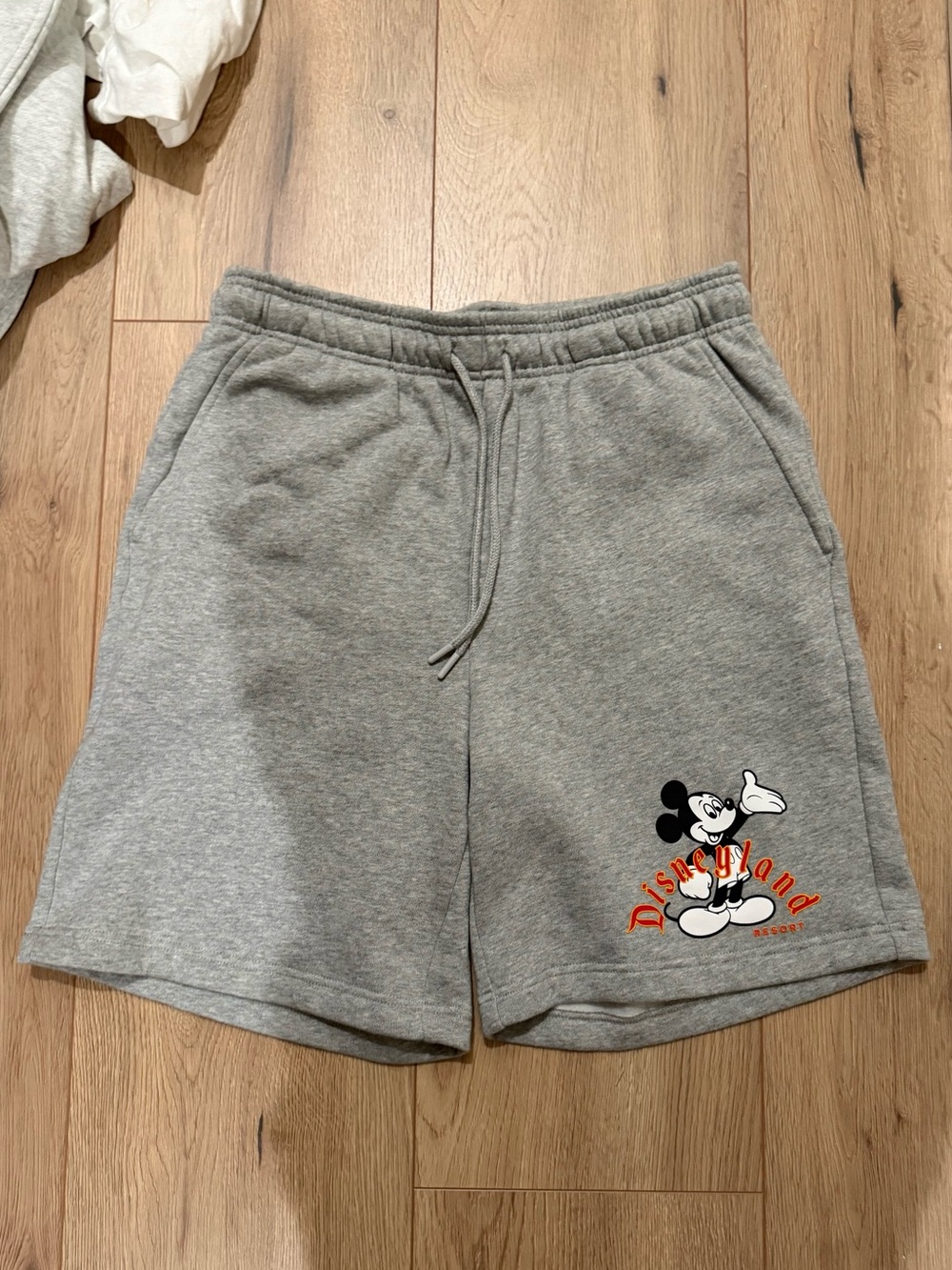 Disneyland sweat shorts